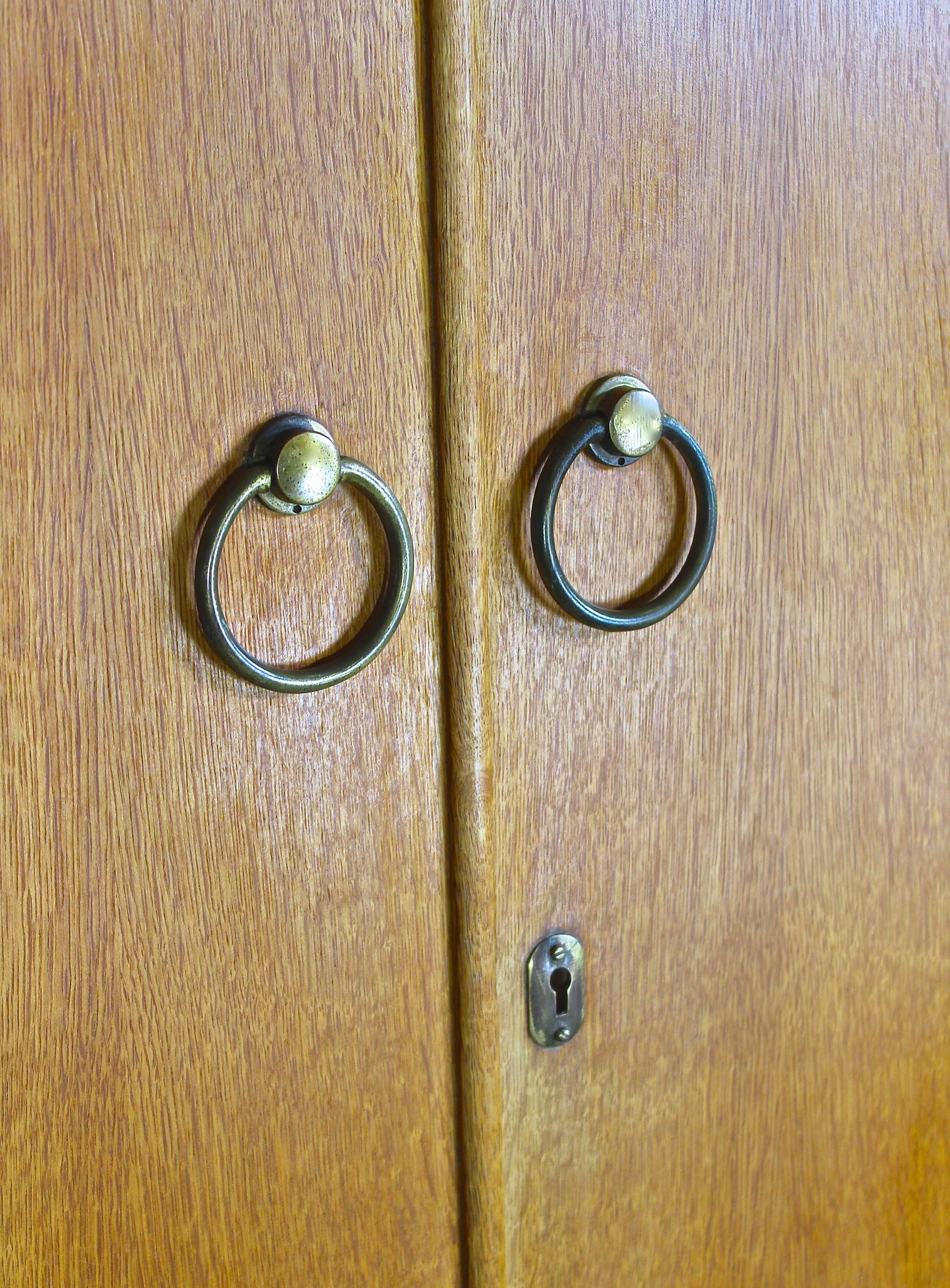 A CWS gentlemans double wardrobe - Image 2