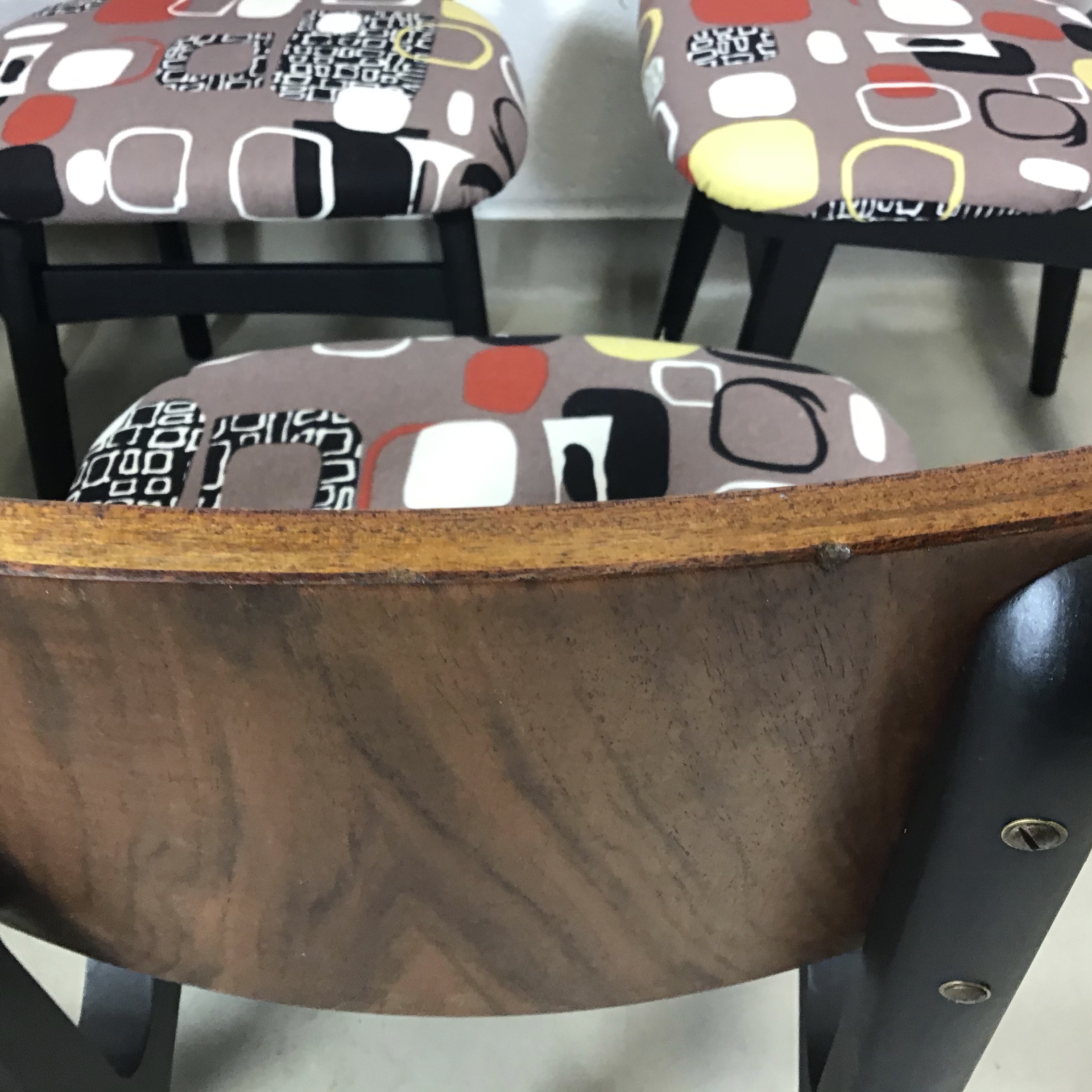 Five 1960's Remploy walnut and black chairs in Sandersons Festival inspired by Pebbles fabric, Jacqueline Groag. - Image 4